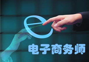 电子商务师是什么专业